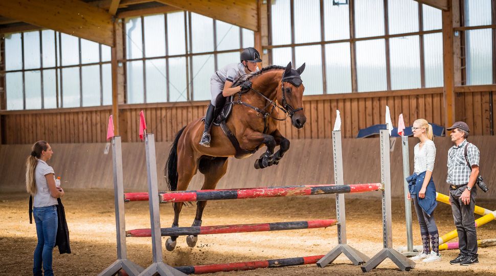 Amazona y caballo superando un obstáculo en una pista cubierta