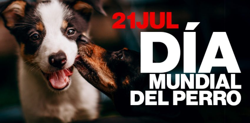 Día Mundial del Perro