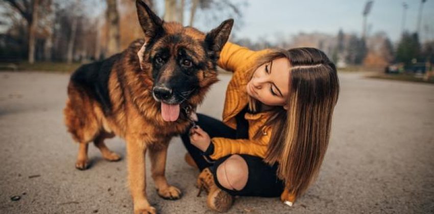chica con pastor alemán