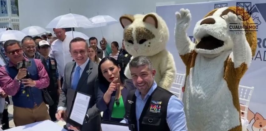 primer hotel para perros abandonados